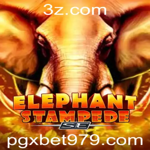 pgx.bet Casino App